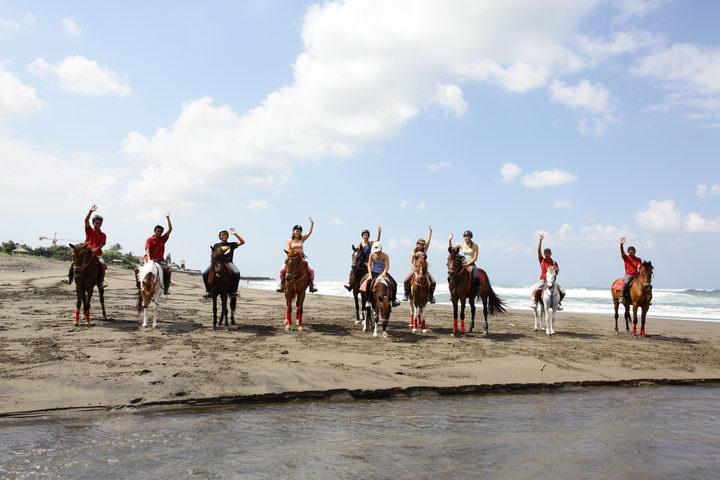 Kuda P Stables | The Bali Bible